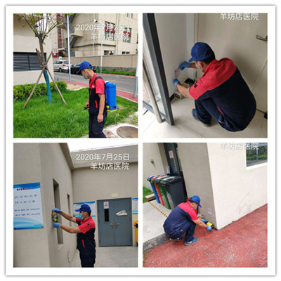 平谷城区周边专业灭蚊蝇400-030-9251维诺康北京消杀四害服务