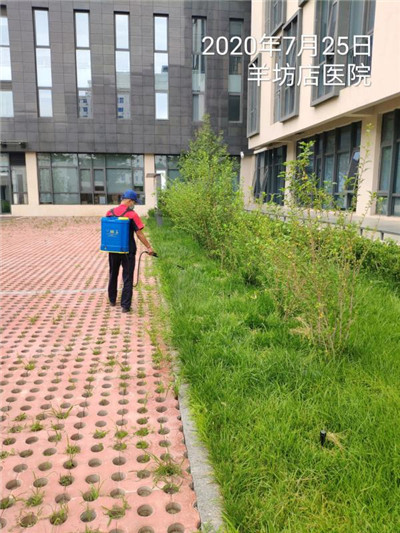 延庆八达岭康庄专业白蚁公司电话400-030-9251维诺康有害生物防治公司