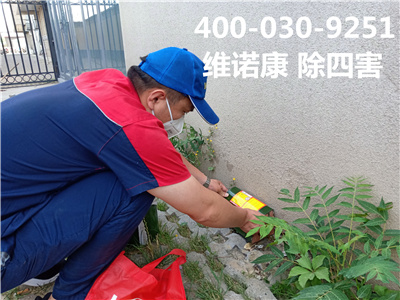 大兴黄村商场大型超市除虫灭鼠灭蟑400-030-9251维诺康灭四害公司