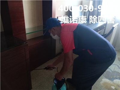 西城和平门灭蚊蝇杀虫灭公司电话400-030-9251维诺康北京专业消杀公司