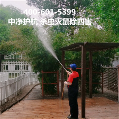 西城六铺炕专业上门杀虫灭鼠机构电话多少400-030-9251维诺康除四害灭蚊蝇