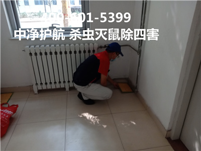 西城真武庙专业杀虫400-030-9251维诺康除四害有害生物防治