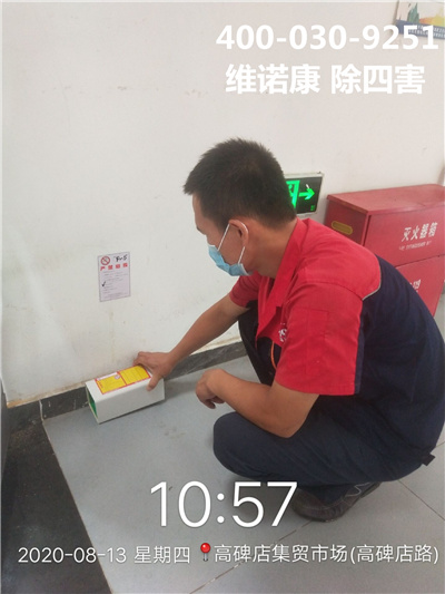 海淀上地上庄专业除四害400-030-9251维诺康北京各区快速上门杀虫灭鼠