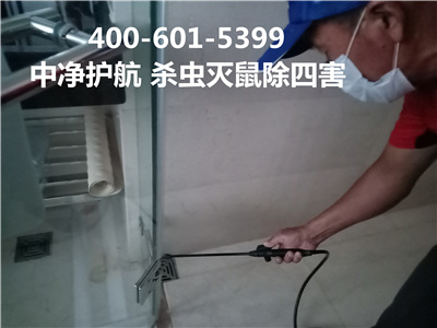 海淀五道口家庭灭蚊蝇400-030-9251维诺康消杀四害服务