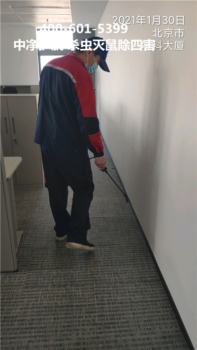 海淀知春路专业杀虫灭蚂蚁公司400-030-9251维诺康消杀四害服务