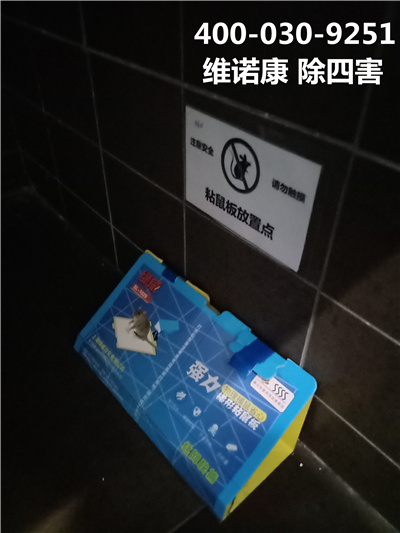 东城朝阳门灭鼠灭蟑螂公司怎么联系400-030-9251维诺康家庭购物商场杀虫灭鼠