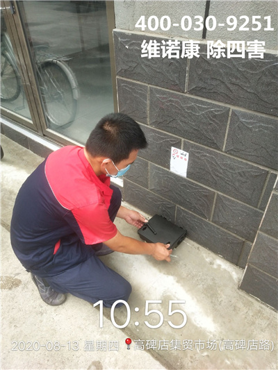 通州上门灭鼠公司400-030-9251维诺康北京各区域四害消杀服务