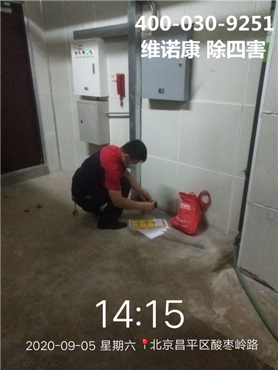 朝阳区除四害公司400-030-9251维诺康家庭上门灭抓老鼠灭蟑螂