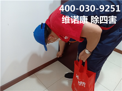 昌平区专业灭蟑螂公司400-030-9251维诺康四害防治