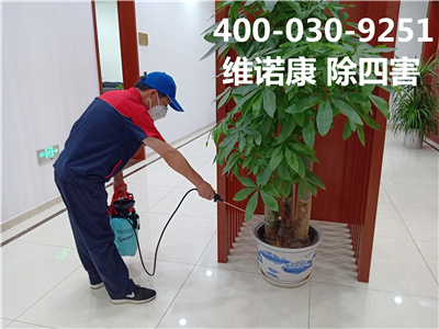 通州控虫防治公司400-030-9251维诺康专业灭蚊虫杀蟑灭鼠