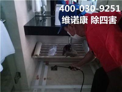 顺义除四害公司400-030-9251维诺康专业灭蚊虫杀蟑灭鼠