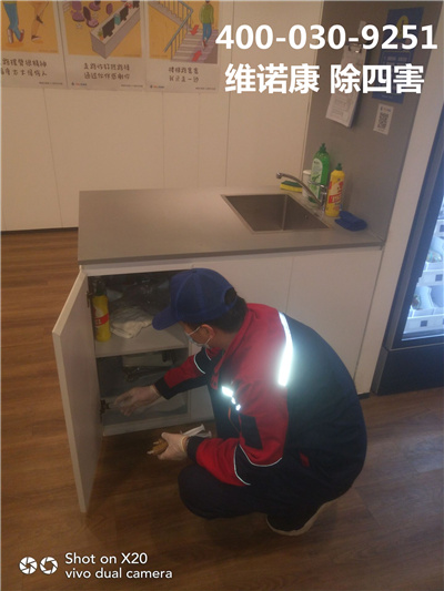西城白广路专业灭四害公司400-030-9251维诺康北京饭店酒店杀蟑螂