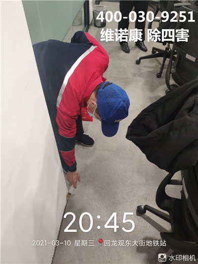 通州区快速上门除虫灭老鼠灭蟑螂电话400-030-9251维诺康虫害消杀灭四害服务