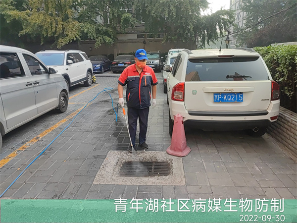 平谷虫害防治公司400-030-9251维诺康杀虫灭鼠除四害