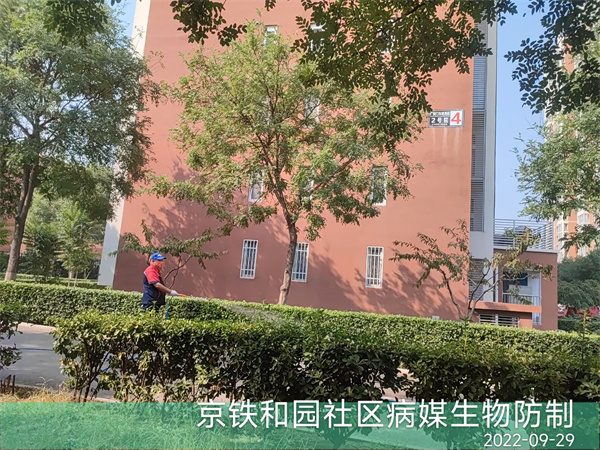 真武庙珠市口农贸市场餐饮业灭四害公司400-030-9251维诺康有害生物防治