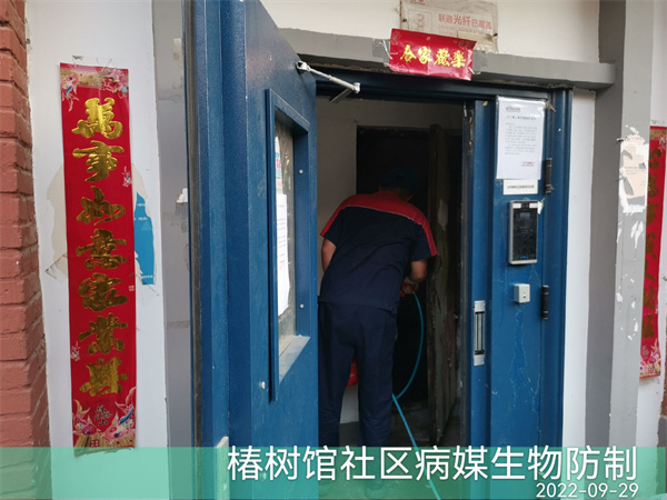 门头沟居家灭蟑螂电话400-030-9251维诺康北京专业灭鼠除四害