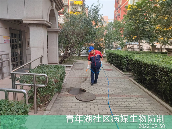 房山城关房山周边灭蟑螂灭苍蝇公司400-030-9251维诺康北京除四害控虫消杀