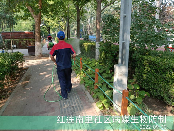 昌平区除虫灭鼠公司400-030-9251维诺康餐饮酒店宾馆办公楼除虫灭鼠灭蟑螂