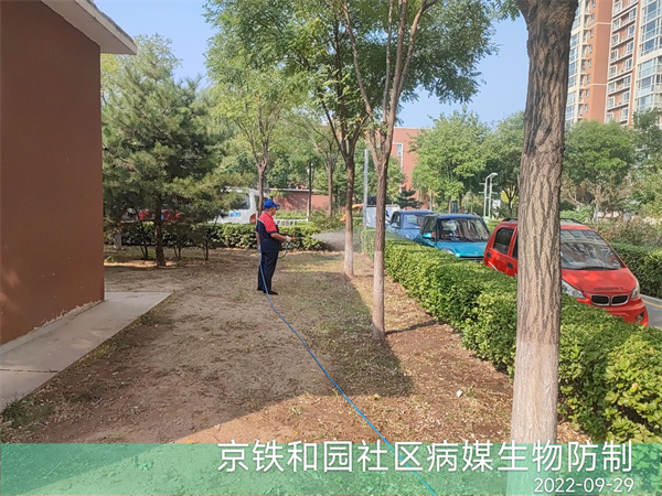 北京控虫防治公司400-030-9251维诺康除四害灭蟑螂