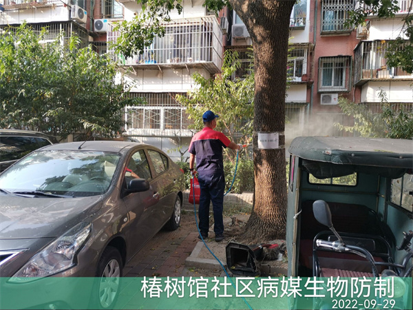 门头沟快速上门灭鼠灭蟑螂电话400-030-9251维诺康北京虫害防治