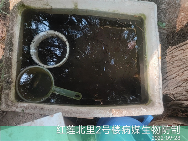 延庆快速上门灭鼠灭蟑螂公司电话400-030-9251维诺康北京虫害防治