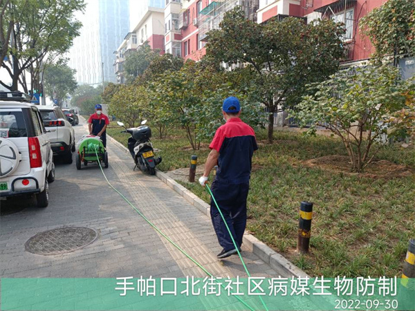地安门阜成门上门灭蚂蚁白蚁400-030-9251维诺康餐饮酒店宾馆办公楼除虫灭鼠灭蟑螂