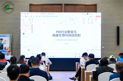 室内发现飞出的白蚁怎么办400-030-9251北京维诺康西城专业除四害