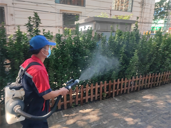 硬蜱的形态特征400-030-9251北京维诺康珠市口专业灭蚊蝇