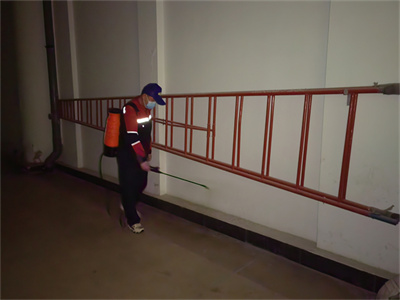 顺义石门除蚊蝇400-030-9251维诺康专业杀虫公司