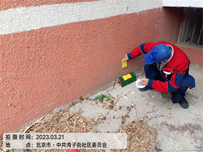 东城体育馆路​灭鼠除四害400-030-9251维诺康北京有害生物防治公司