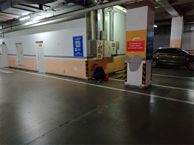 四害对家庭的危害