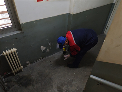 家庭灭蟑螂灭苍蝇除四害维诺康北京虫害防治