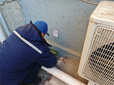 北京灭鼠公司维诺康家庭除四害灭蟑螂